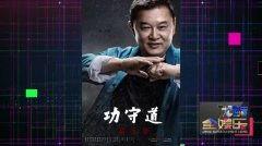 爆料功夫视频大全,揭秘武林高手绝技，一招一式尽收眼底