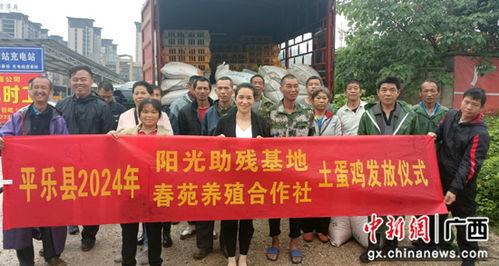 桂林平乐镇爆料新闻,火灾事故致多人受伤，紧急救援正在进行